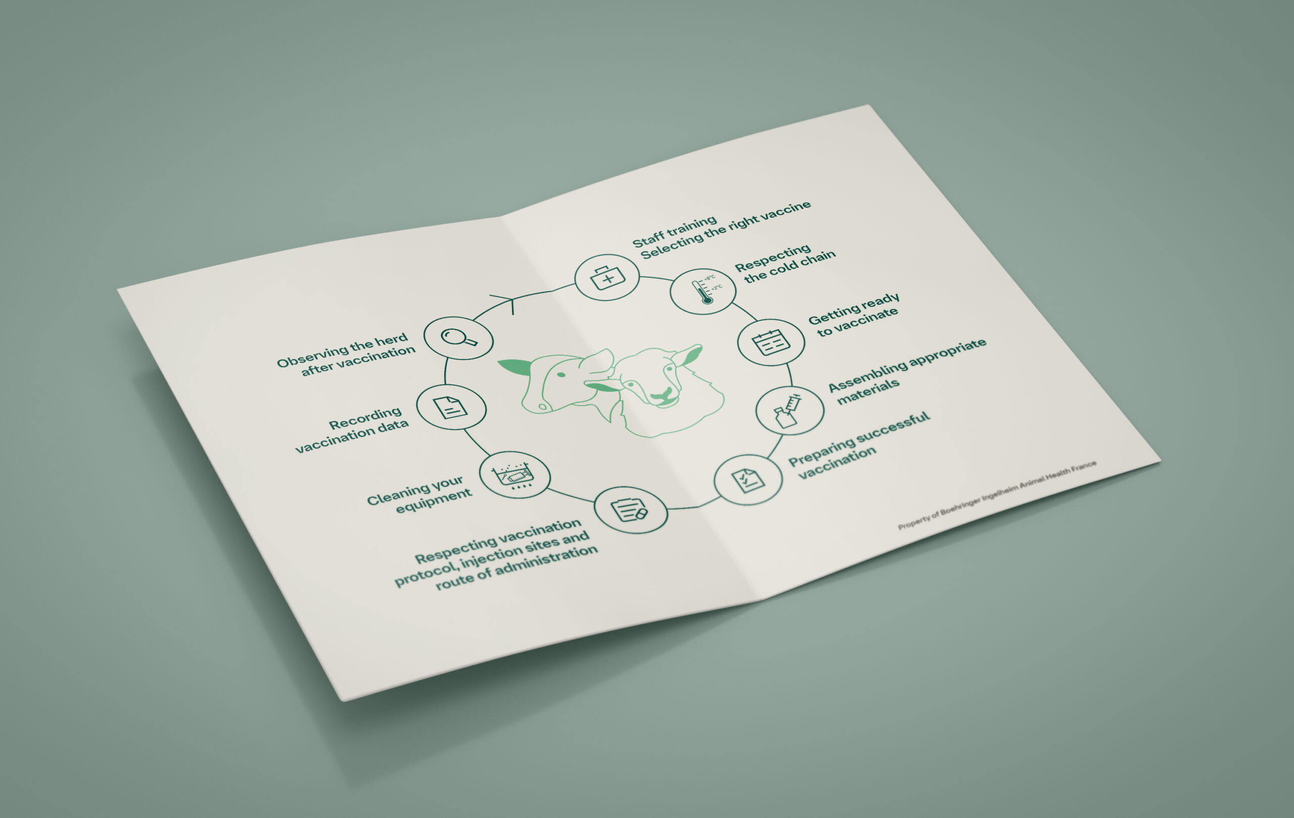 Mockups Design